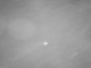 voyeurcam casa salsa pool 1